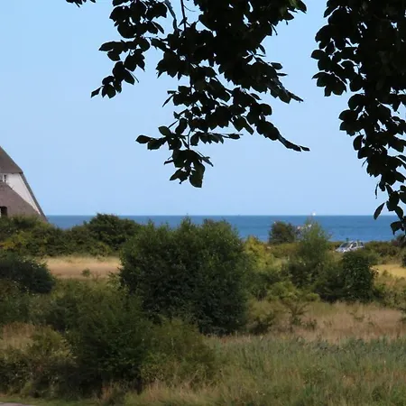 Διαμέρισμα Shelter