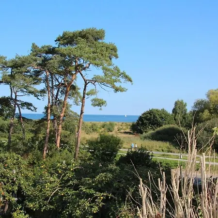 Shelter Διαμέρισμα