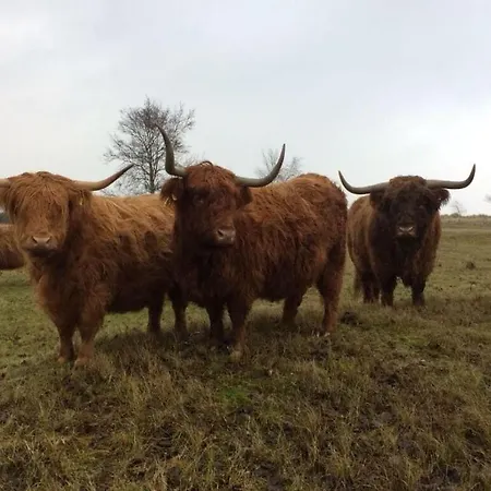 Shelter Διαμέρισμα Hohwacht