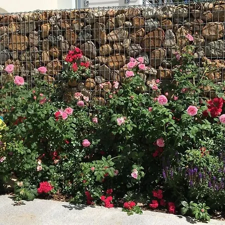 Shelter Διαμέρισμα *